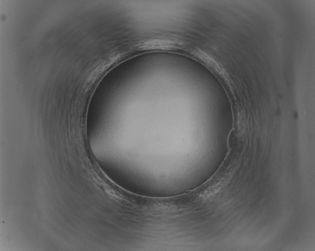 X0000073870529200608171010