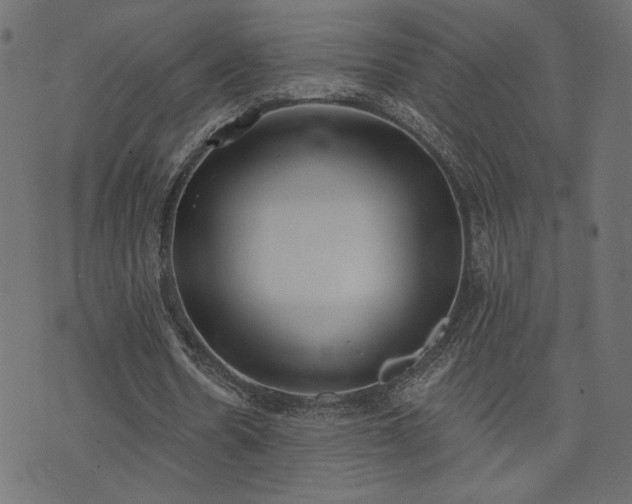 X0000073870530200608171010