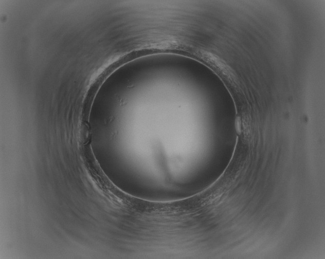 X0000073870532200608171010