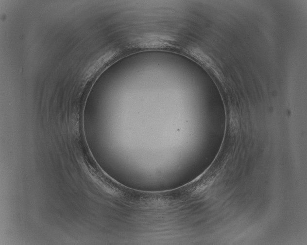 X0000073870533200608171010