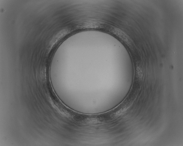 X0000073870534200608171010