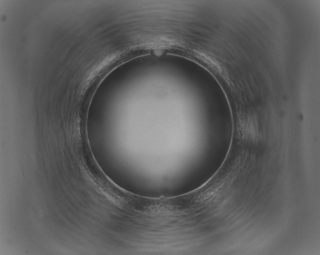 X0000073870535200608171010