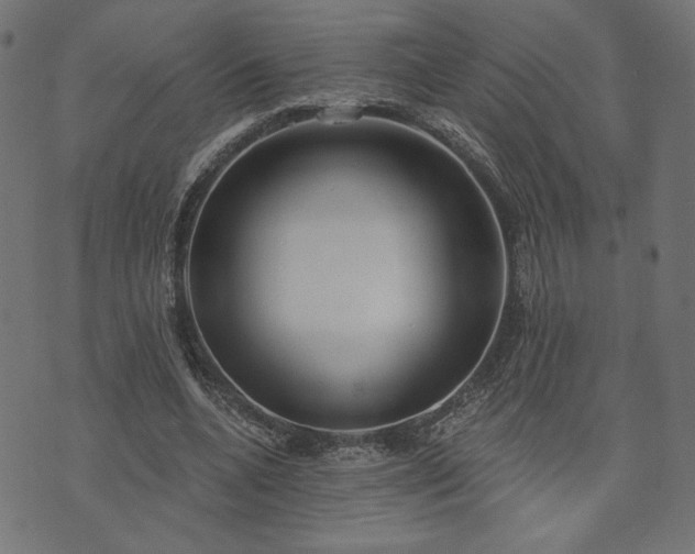 X0000073870536200608171010