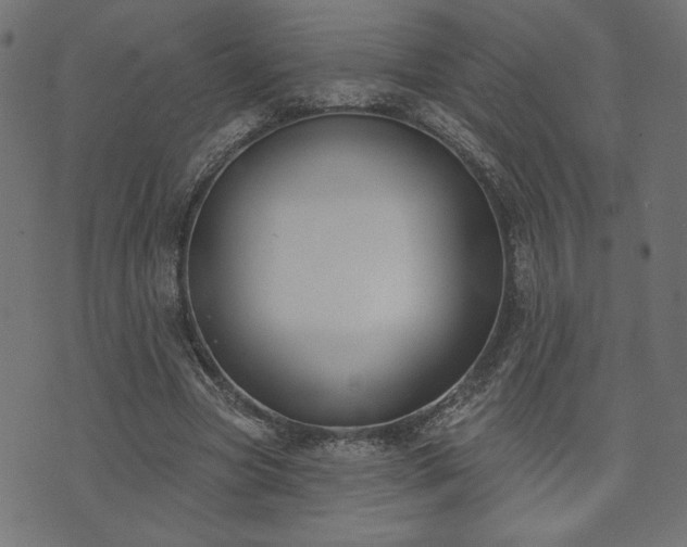 X0000073870537200608171010