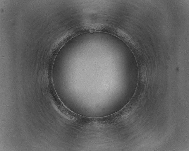 X0000073870538200608171010