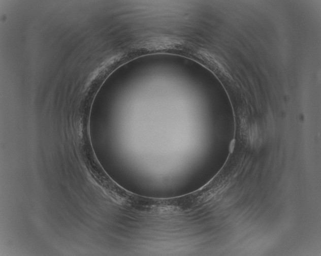 X0000073870539200608171010