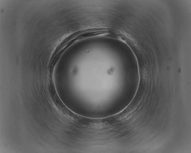 X0000073870540200608171010