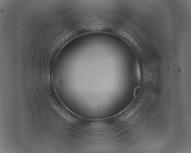 X0000073870541200608171010