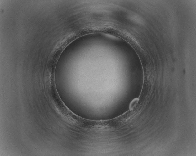 X0000073870542200608171010