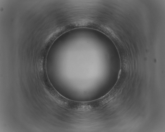 X0000073870543200608171010