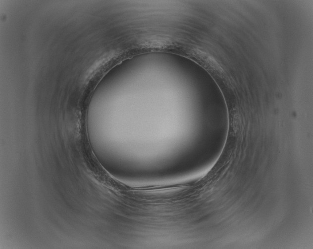 X0000073870544200608171010