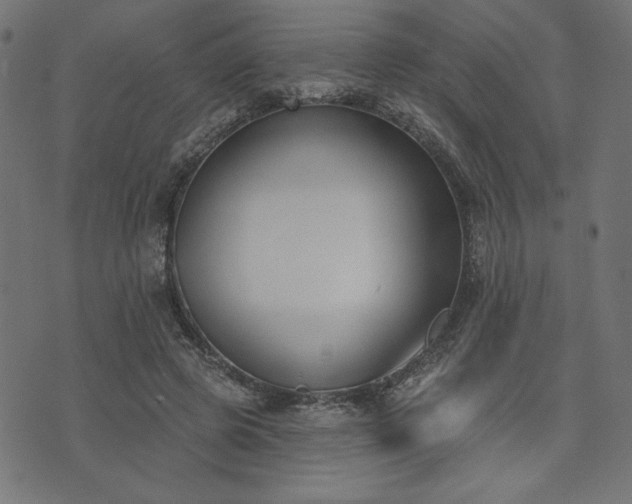 X0000073870545200608171010