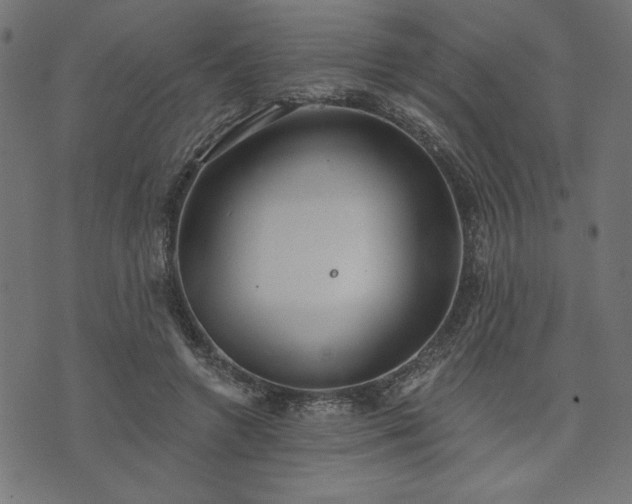 X0000073870546200608171010