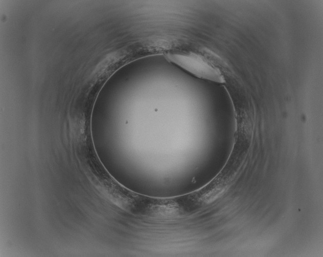 X0000073870548200608171010