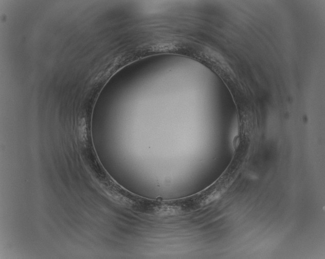 X0000073870549200608171010