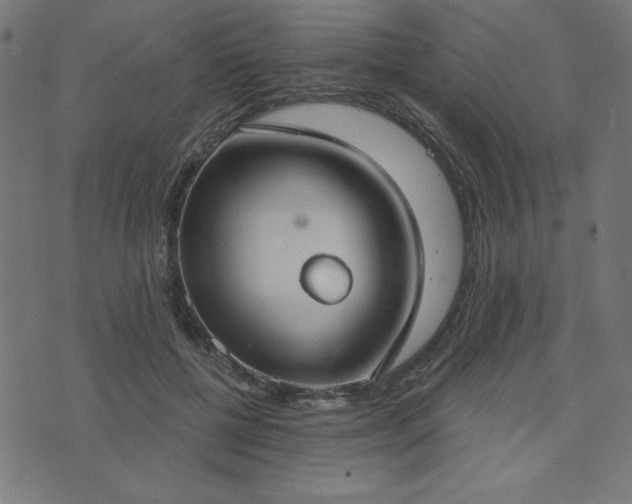 X0000073870552200608171010