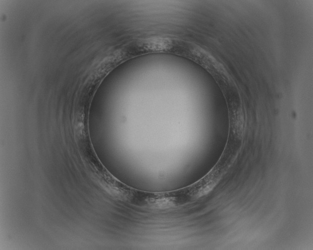 X0000073870553200608171010