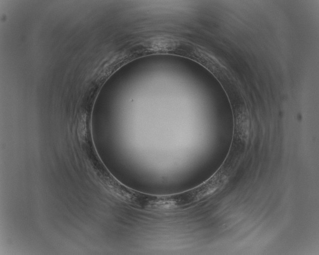 X0000073870554200608171010