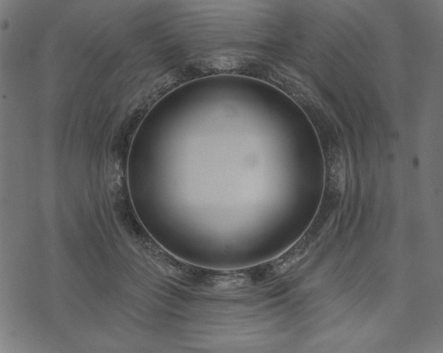 X0000073870555200608171010