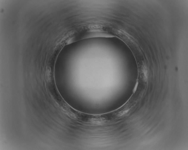 X0000073870556200608171010