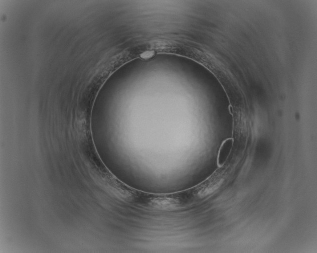 X0000073870557200608171010