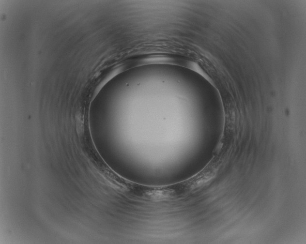 X0000073870558200608171010