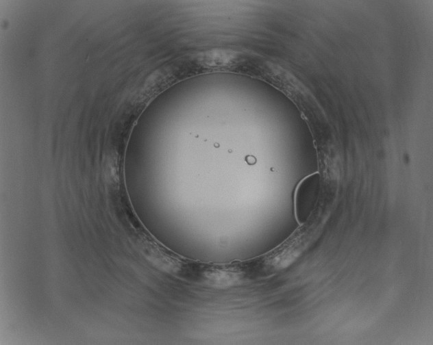 X0000073870561200608171010