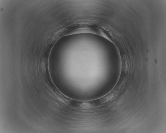 X0000073870562200608171010