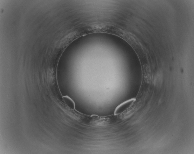 X0000073870563200608171010