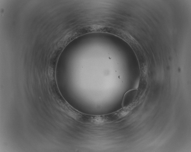 X0000073870565200608171010