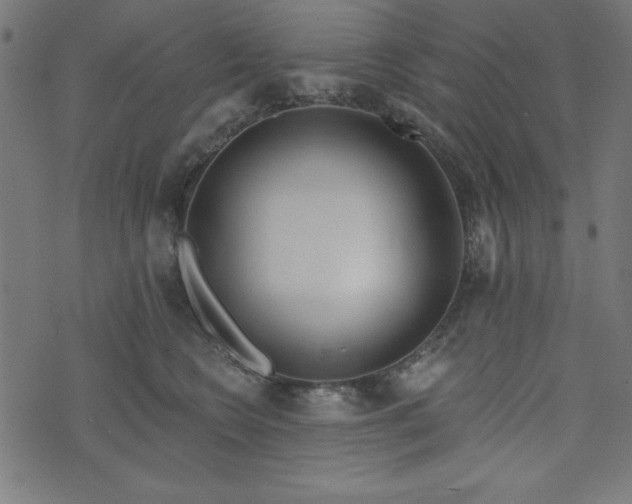 X0000073870566200608171010