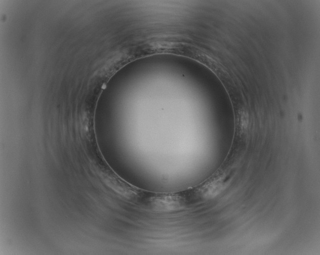 X0000073870567200608171010