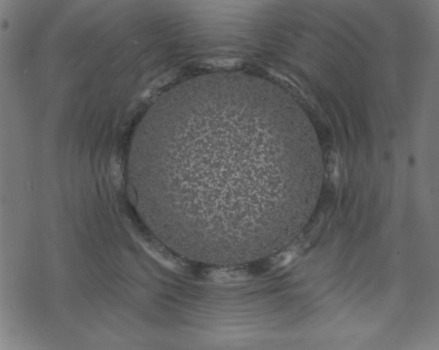 X0000073870568200608171010