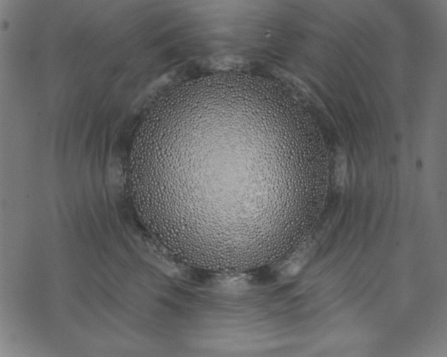 X0000073870569200608171010