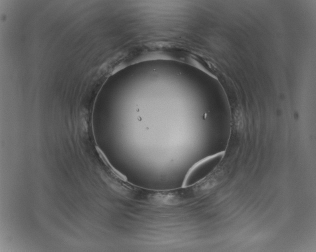 X0000073870570200608171010