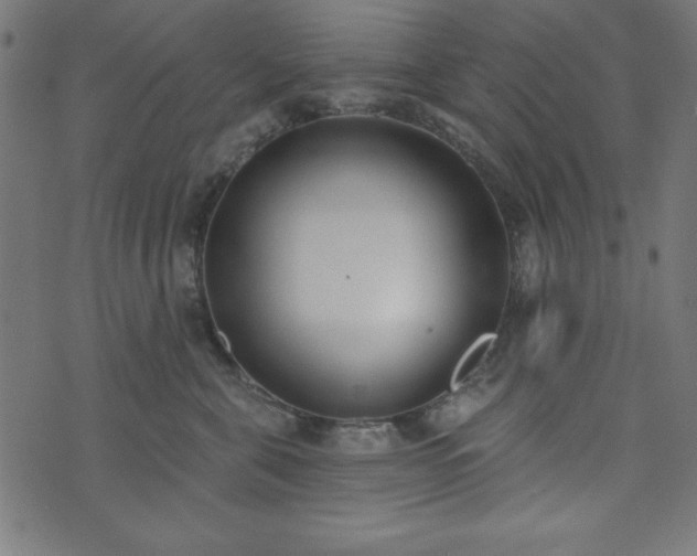 X0000073870571200608171010