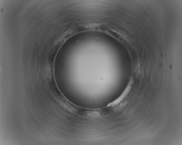 X0000073870572200608171010