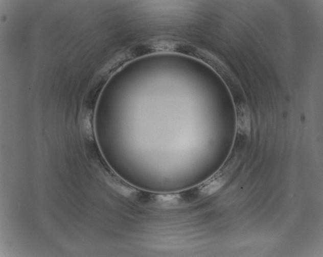 X0000073870573200608171010