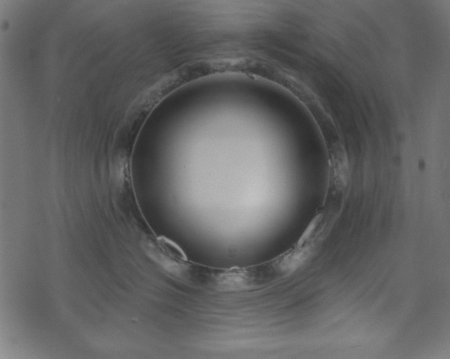 X0000073870574200608171010