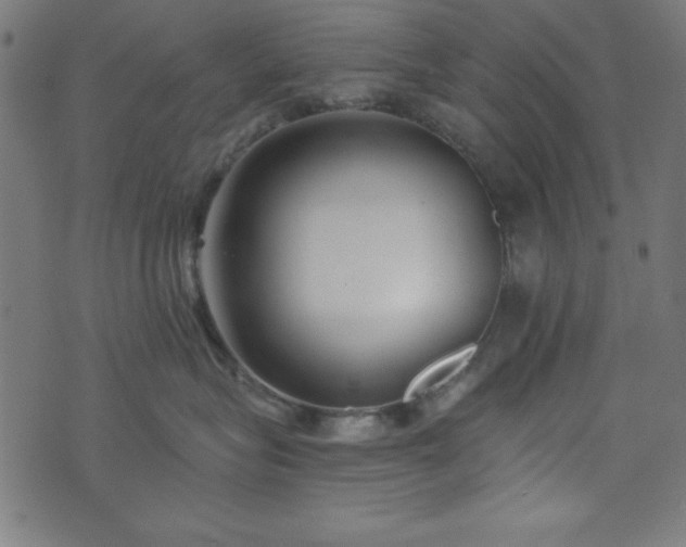 X0000073870575200608171010