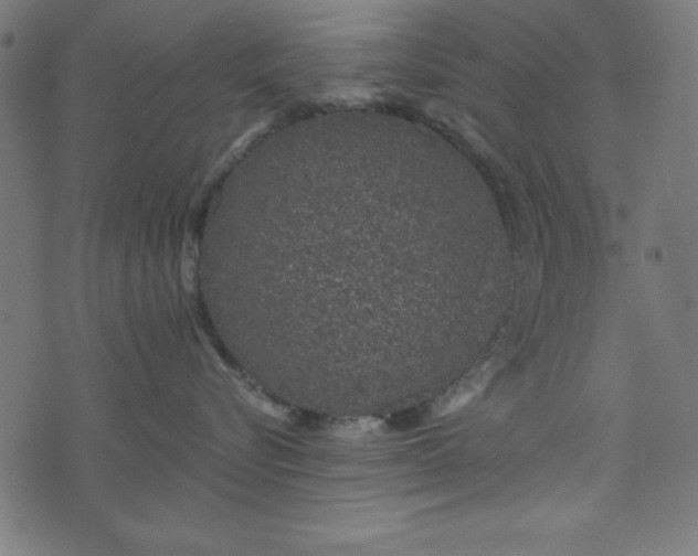 X0000073870576200608171010