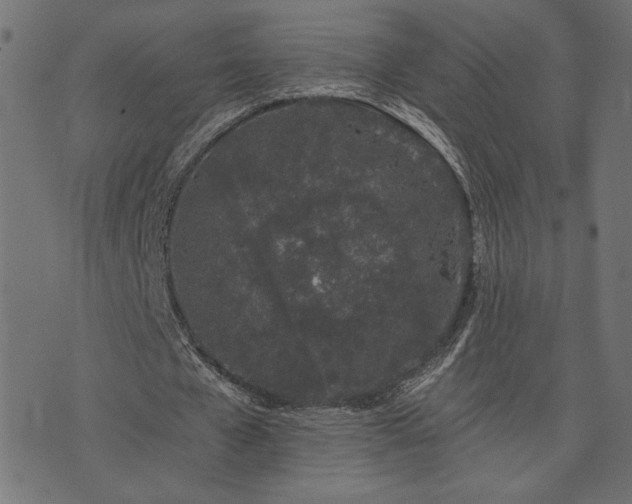 X0000073870577200608171010