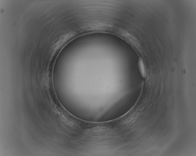 X0000073870578200608171010