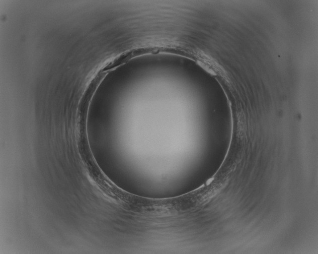 X0000073870580200608171010