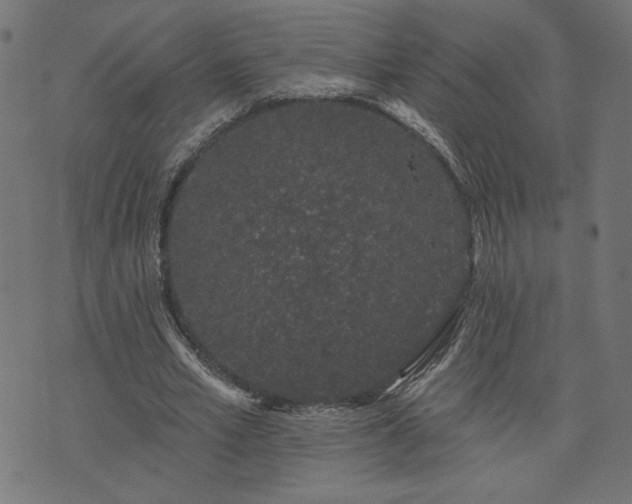 X0000073870581200608171009