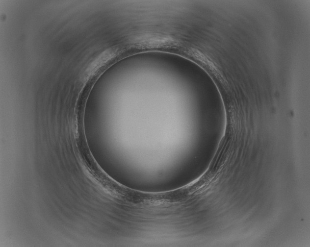 X0000073870582200608171009