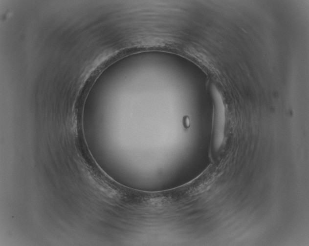 X0000073870584200608171009