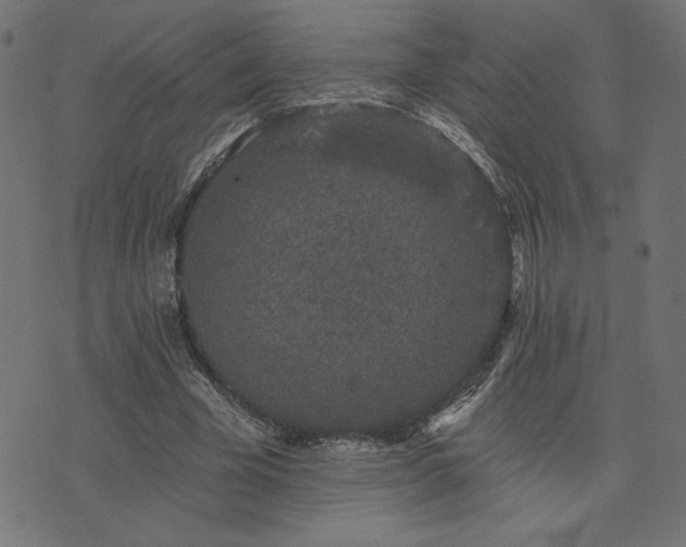 X0000073870585200608171009