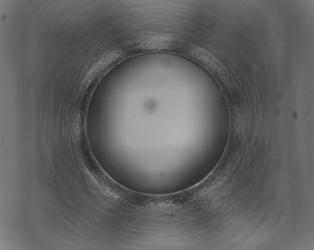 X0000073870586200608171009