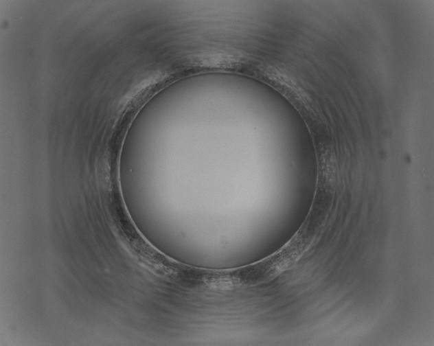 X0000073870587200608171009